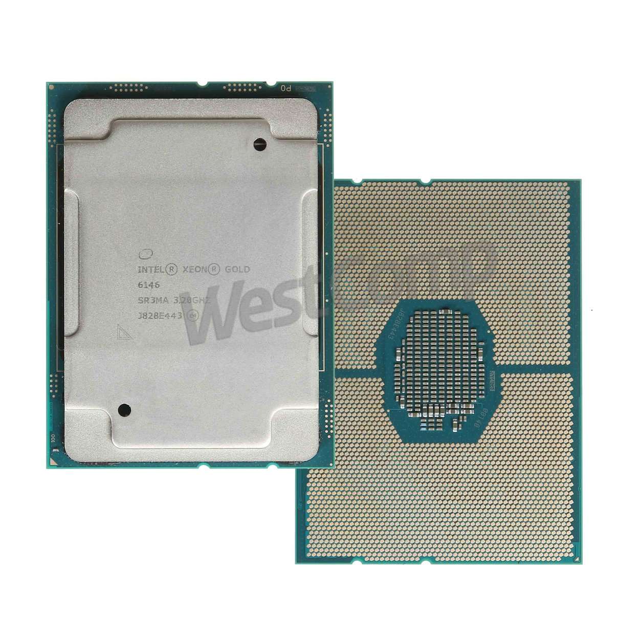 Intel Xeon Gold 6146 Skylake-SP 12-Core (3200MHz, LGA3647, 25344Kb, 165W)